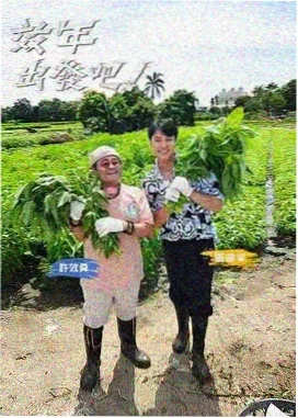 机动部队